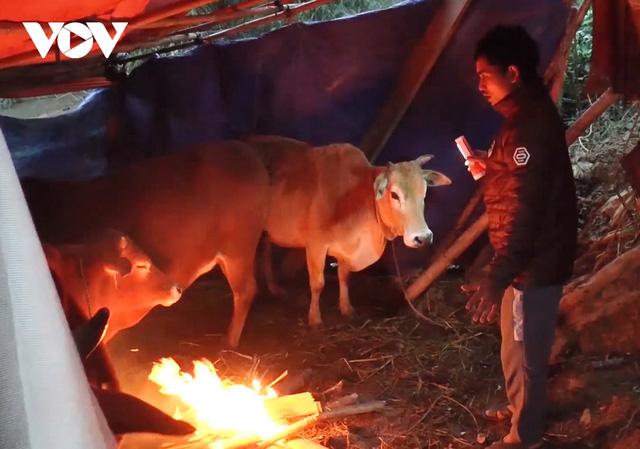 Miền Trung rét chưa từng thấy - Ảnh 1. Miền Trung rét chưa từng thấy - Ảnh 1.