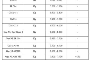 Giá lúa gạo hôm nay ngày 20/1/2026: Gạo xuất khẩu tiếp đà tăng