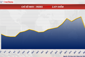 Áp lực cung - cầu đẩy giá lúa mì giảm gần 2%