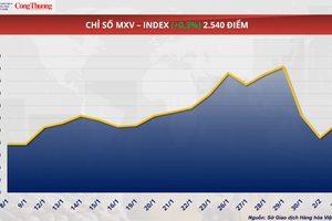 Giá đậu tương tăng gần 2,5% lên 401 USD/tấn