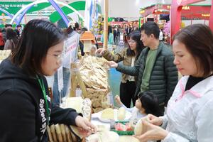 Hội chợ Mùa Xuân 2026: Cao điểm cho mùa mua sắm Tết