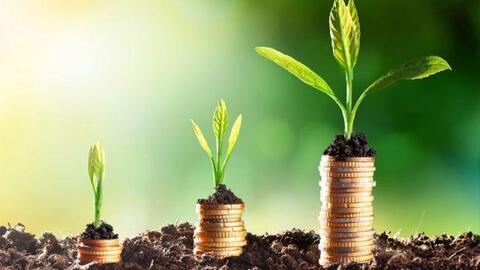 Thị trường chứng khoán năm 2022: Hãy săn mồi như hổ, kiên nhẫn chờ đợi!