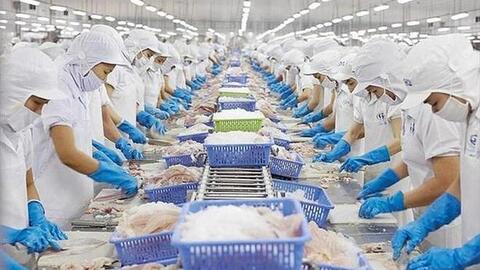 Xuất khẩu thủy sản sang Mỹ tăng đột biến