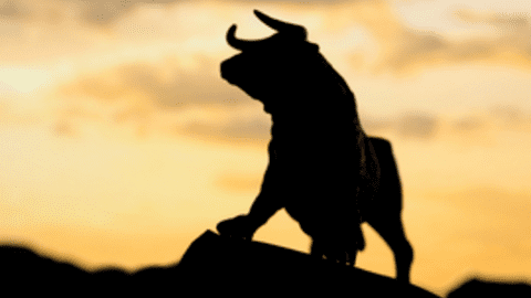 Khai xuân rực rỡ, VN-Index bứt phá gần 20 điểm, áp sát mốc 1.500