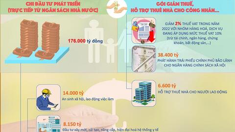 Chính sách tài khoá là bệ phóng cho kinh tế phục hồi và phát triển