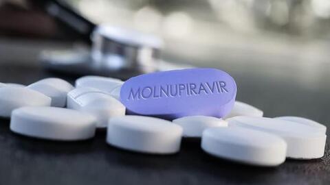 4 lưu ý về thuốc Molnupiravir dù bạn là F0 hay vẫn chưa nhiễm bệnh đều cần biết rõ