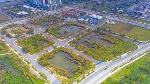 Siết chặt điều kiện tham gia đấu giá đất