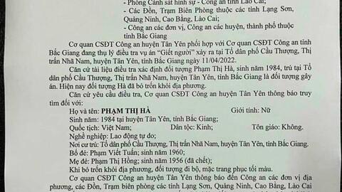 Đã bắt người phụ nữ chém tử vong chủ cửa hàng quần áo