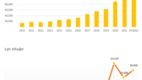 Cổ đông gợi ý Hoà Phát học TGDĐ cho vay lấy lãi 6 - 7%, chủ tịch Trần Đình Long thẳng thắn bày tỏ có nơi đề mức lãi suất 18 - 20%/năm nhưng vẫn từ chối vì không thể phiêu lưu