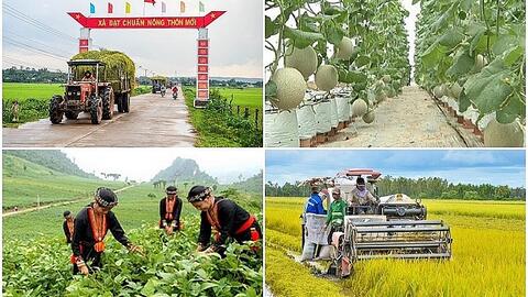 Đẩy nhanh tiến độ giải ngân vốn ngân sách thực hiện Chương trình mục tiêu quốc gia