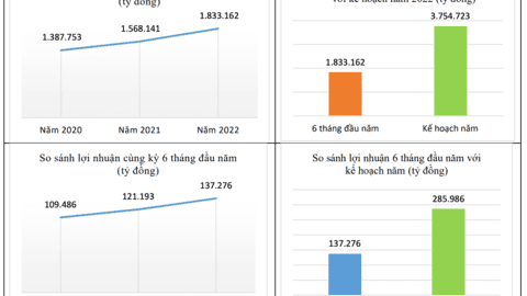 6 tháng đầu năm, tổng doanh thu của DATC ước đạt 75% kế hoạch