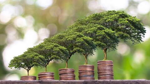 Phát triển thị trường trái phiếu xanh trong bối cảnh biến đổi khí hậu hiện nay