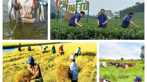 Tổng điều tra nông thôn, nông nghiệp năm 2025 rộng khắp trong cả nước diễn ra từ 1/7