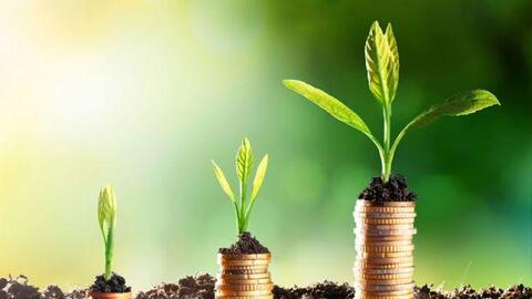 Thị trường chứng khoán năm 2022: Hãy săn mồi như hổ, kiên nhẫn chờ đợi!