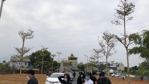 Chung cư giảm nhiệt, đất nền tạo sóng cuối năm