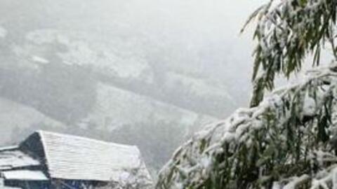 Miền Bắc rét đậm, rét hại tới khi nào?