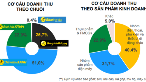 Năm 2022, 2 "cần câu cơm" chính của Thế Giới Di Động (MWG) sẽ đi câu ở đâu?