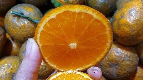 Không chỉ gừng, sả, cam vụt tăng giá gấp 3, vẫn bán hết vèo cả tấn