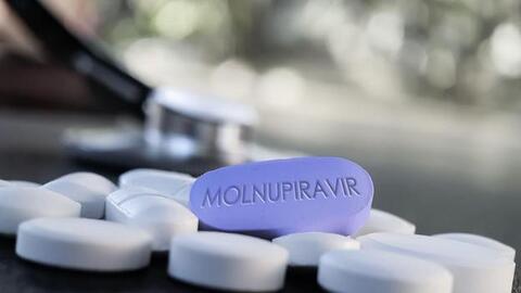4 lưu ý về thuốc Molnupiravir dù bạn là F0 hay vẫn chưa nhiễm bệnh đều cần biết rõ