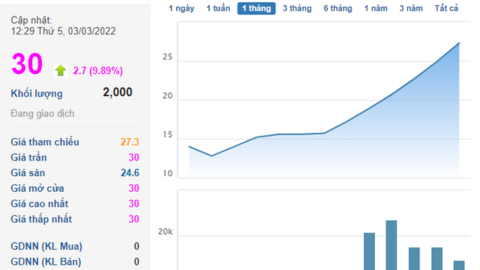 Một cổ phiếu tăng gấp đôi sau 2 tuần, "ông lớn" ngành phân bón là cổ đông lớn nhất