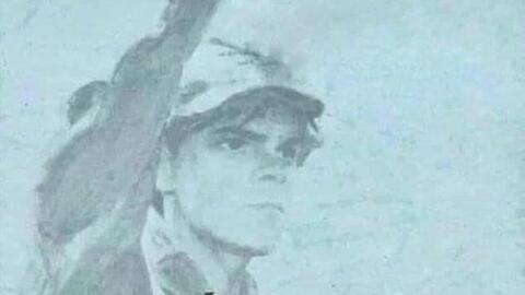 Tại sao cổ phiếu Hòa Phát tăng trần có 1 phiên, mà nhà đầu tư khắp các hội nhóm reo hò như 'bùng nổ'?