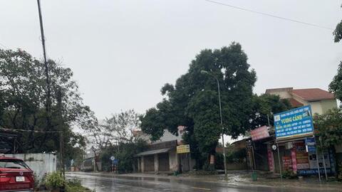 Đánh giá thị trường tốt nên mạnh tay xuống tiền, nhà đầu tư ngậm đắng khi "kẹt hàng"