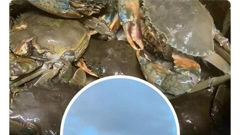 Thanh niên chuyên giả gái, lừa tiền cọc của nhiều shipper