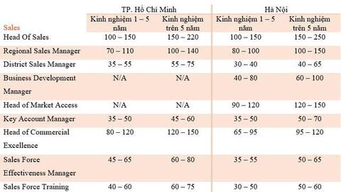 Ngành nào có mức lương cao nhất Việt Nam, có vị trí lên tới 600 triệu đồng?
