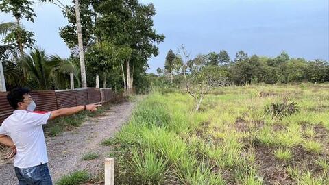 Giá đất Củ Chi, Hóc Môn ồ ạt tăng