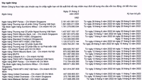 "Tiền đẻ ra tiền" ở Thế giới Di động: Vay nợ hơn 1 tỷ USD nhưng thu ngàn tỷ từ tiền gửi ngân hàng, cho 2 CTCK vay 940 tỷ đồng
