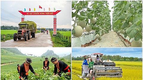 Đẩy nhanh tiến độ giải ngân vốn ngân sách thực hiện Chương trình mục tiêu quốc gia