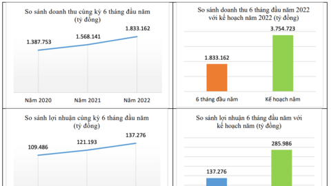6 tháng đầu năm, tổng doanh thu của DATC ước đạt 75% kế hoạch