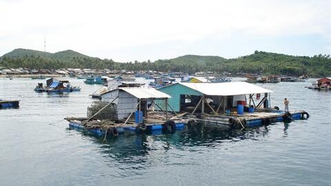 Nuôi trồng thủy, hải sản còn nhiều dư địa để phát triển