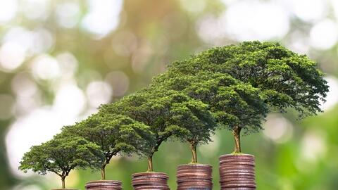 Phát triển thị trường trái phiếu xanh trong bối cảnh biến đổi khí hậu hiện nay