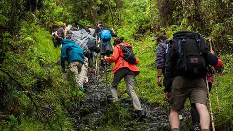 Thể thao cưỡi ngựa - bộ môn rèn luyện thể chất, chữa lành tinh thần