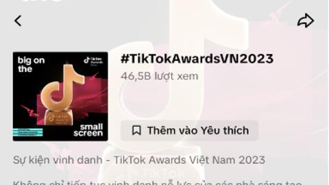 Những xu hướng hàng đầu tháng 11 - 12/2023 trên TikTok