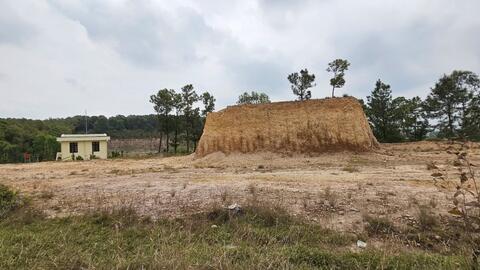 Quảng Nam: Nham nhở đồi thông Bồ Bồ