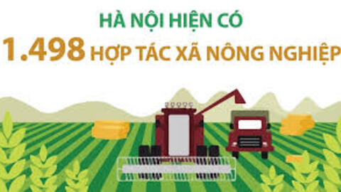 Hà Nội có 1.498 hợp tác xã nông nghiệp