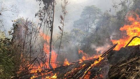 Thủ tướng yêu cầu tập trung khắc phục hậu quả vụ cháy rừng tại Tuyên Quang