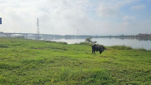 Quảng Nam: Khởi tố vụ mỏ cát bị "thổi giá" lên 370 tỷ đồng