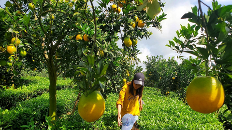 Mô hình du lịch trải nghiệm nông nghiệp mở đường giảm nghèo ở Vân Sơn