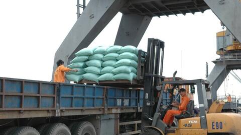 Philippines tạm dừng nhập khẩu gạo, Bộ Công Thương khuyến cáo doanh nghiệp