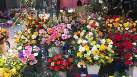 'Hoa nhà giàu' tăng giá gấp đôi vẫn hút khách dịp 20/10