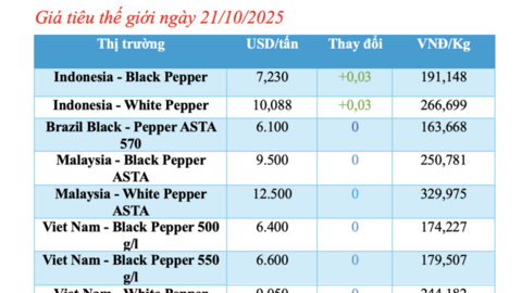 Giá tiêu hôm nay 21/10/2025: Trong nước tăng nhẹ