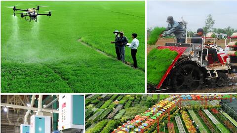 Đồng Tháp: Tăng tốc thực hiện Nghị quyết số 154 của Chính phủ và các chỉ tiêu kinh tế xã hội