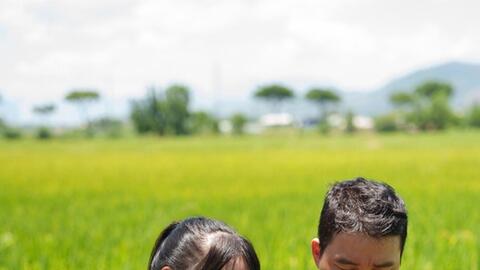 BAC A BANK trợ lực cùng các cá nhân sản xuất kinh doanh ngành lúa gạo