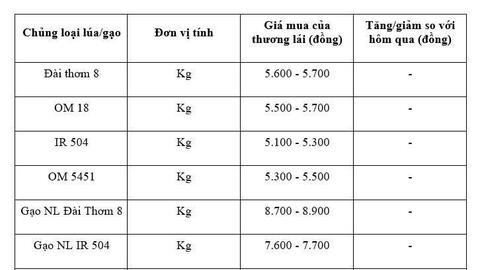 Giá lúa gạo hôm nay ngày 17/11: Gạo xuất khẩu bình ổn, lúa vững giá