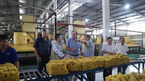 Tạo nền tảng năng suất chất lượng: Nỗ lực từ các bộ, ngành