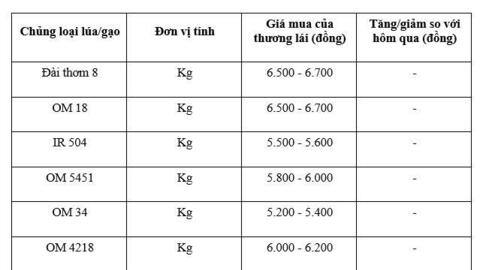 Giá lúa gạo hôm nay ngày 7/1/2026: Thị trường lặng sóng, giá ổn định