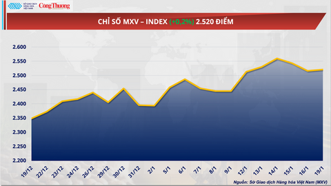 Giá ca cao phục hồi lên vùng 5.000 USD/tấn